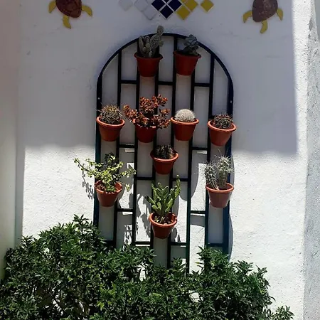 Wonderful White Appartament In Playa Americas Apartmán *
